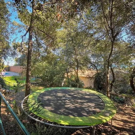 Frgk Le Petit Bois Vue Panoramique Jardin Verdoyant Près De Cannes Hébergement de vacances
